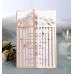 Laser Invitation Card Translucent Envelope Wedding Decoration Champagne